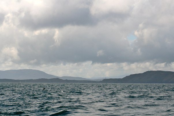 148396_461985428290_2867637_n