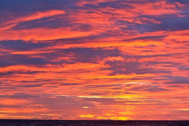 148621_461985533290_8333192_n