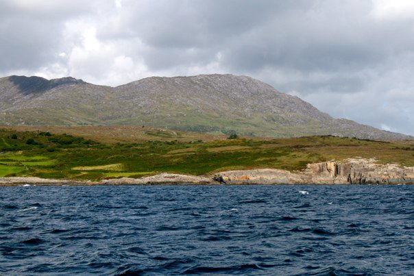 149565_461983818290_341880_n