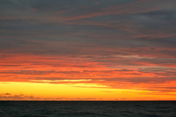 149784_461985518290_3822688_n