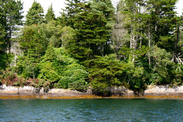 150319_461984193290_7425175_n