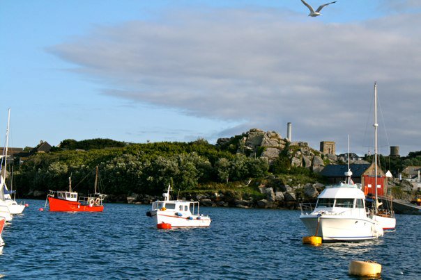 39602_461973823290_3446773_n