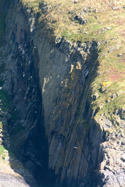 40114_461985258290_5917635_n