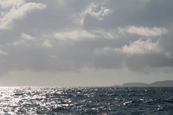 73923_461985453290_751830_n