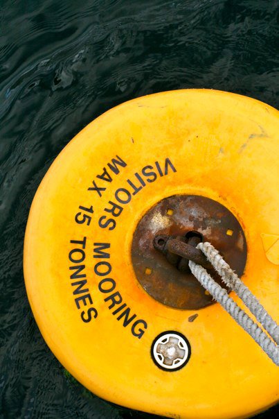 74222_461984918290_4002350_n