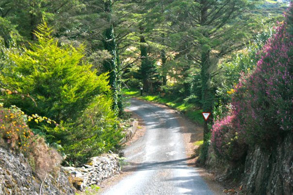 74493_461982843290_8098030_n