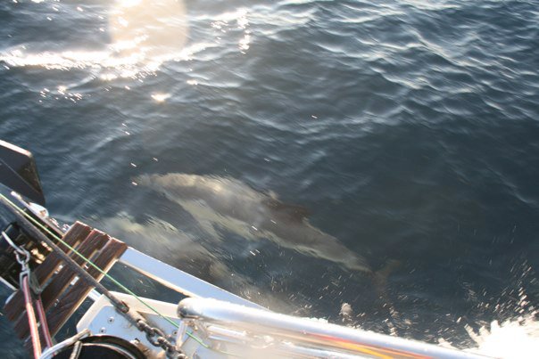 76374_461973393290_842812_n