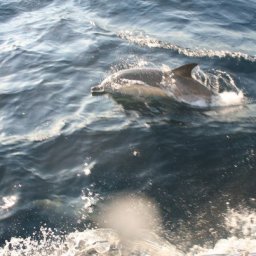 Navigation Ouessant – Scilly – Irlande