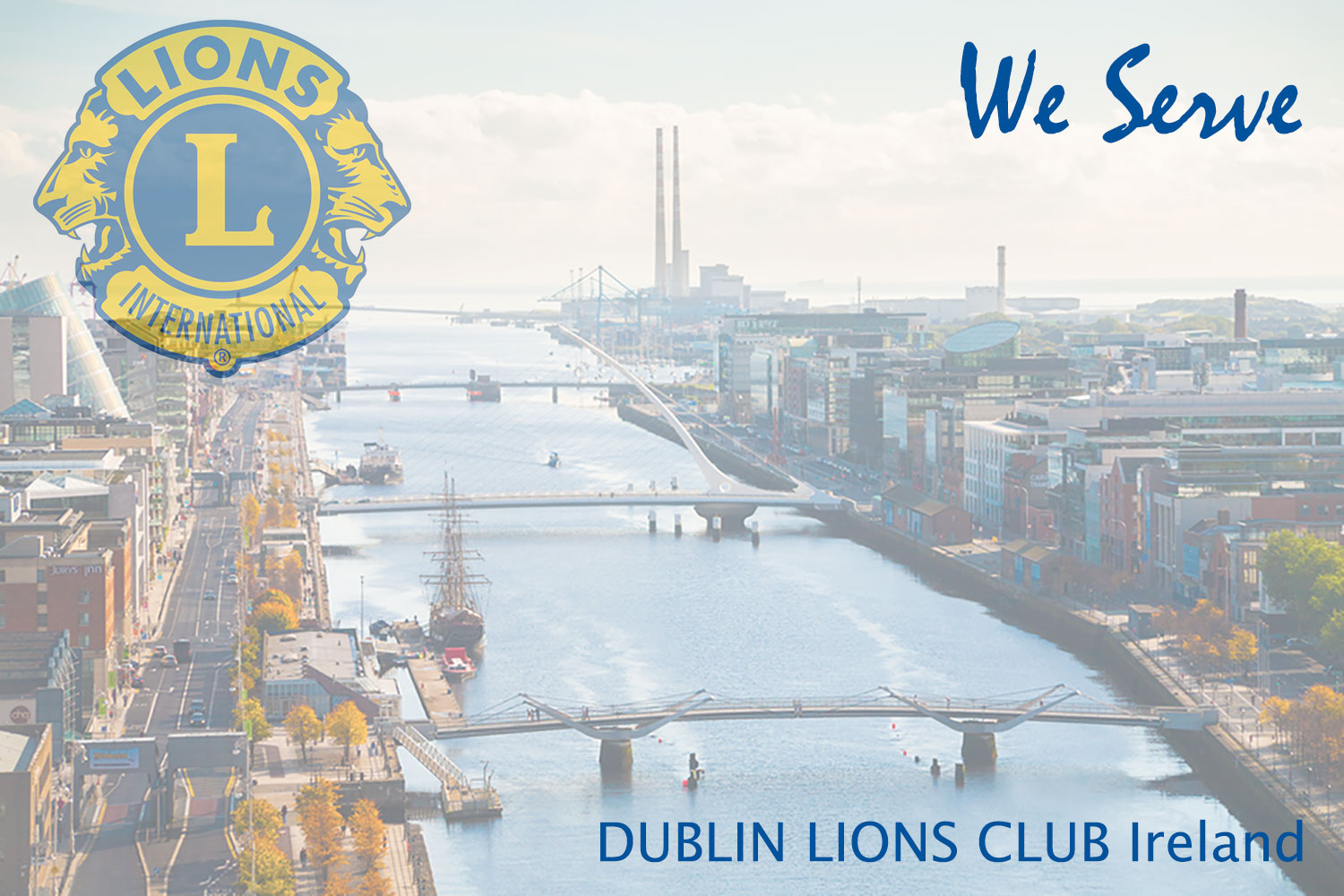 lions_picture_1500x1000